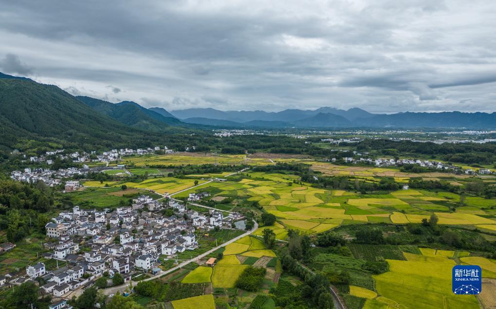 威尼斯电子